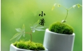 【生活預(yù)報(bào)】東方和利說天氣，今日小暑