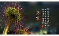 今日寒露 | 裊裊涼風(fēng)動，凄凄寒露零